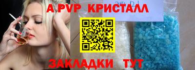 стафф Будённовск