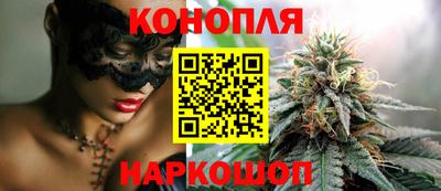 стафф Будённовск