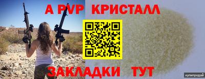 стафф Будённовск
