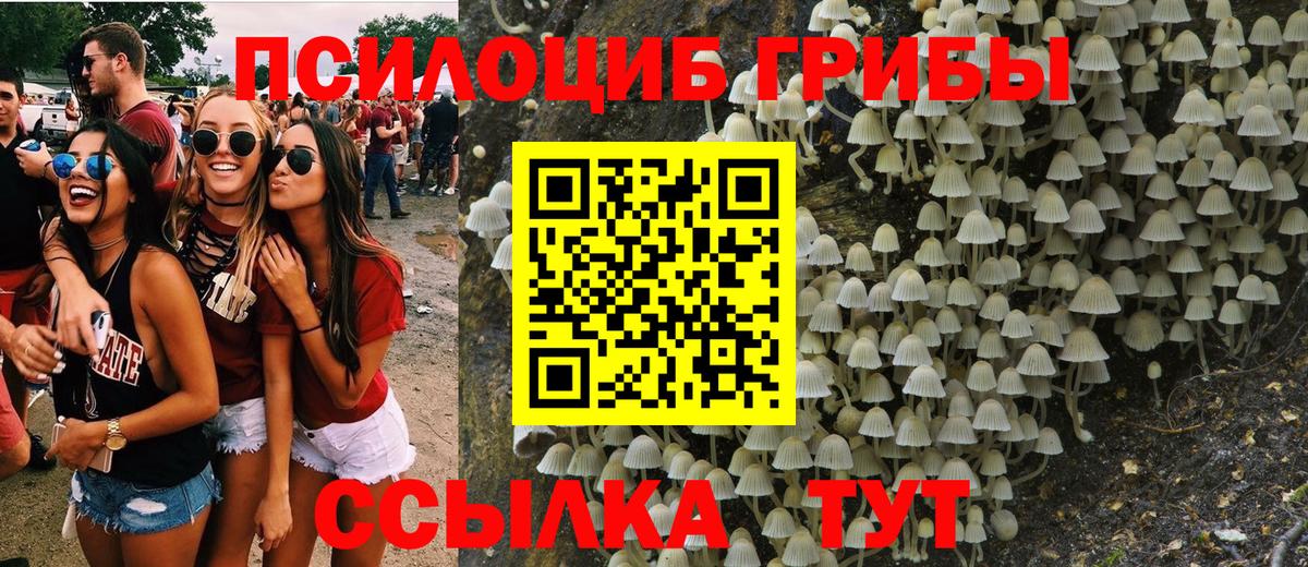 Галлюциногенные грибы MAGIC MUSHROOMS Курчалой