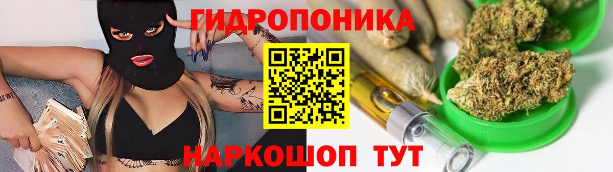 Бошки марихуана планчик Курчалой